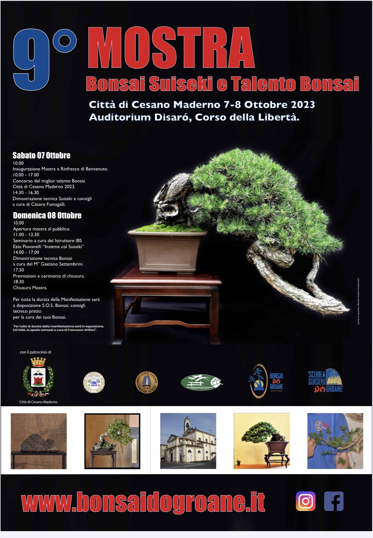 Cesano Maderno - Mostra Bonsai  9° edizione